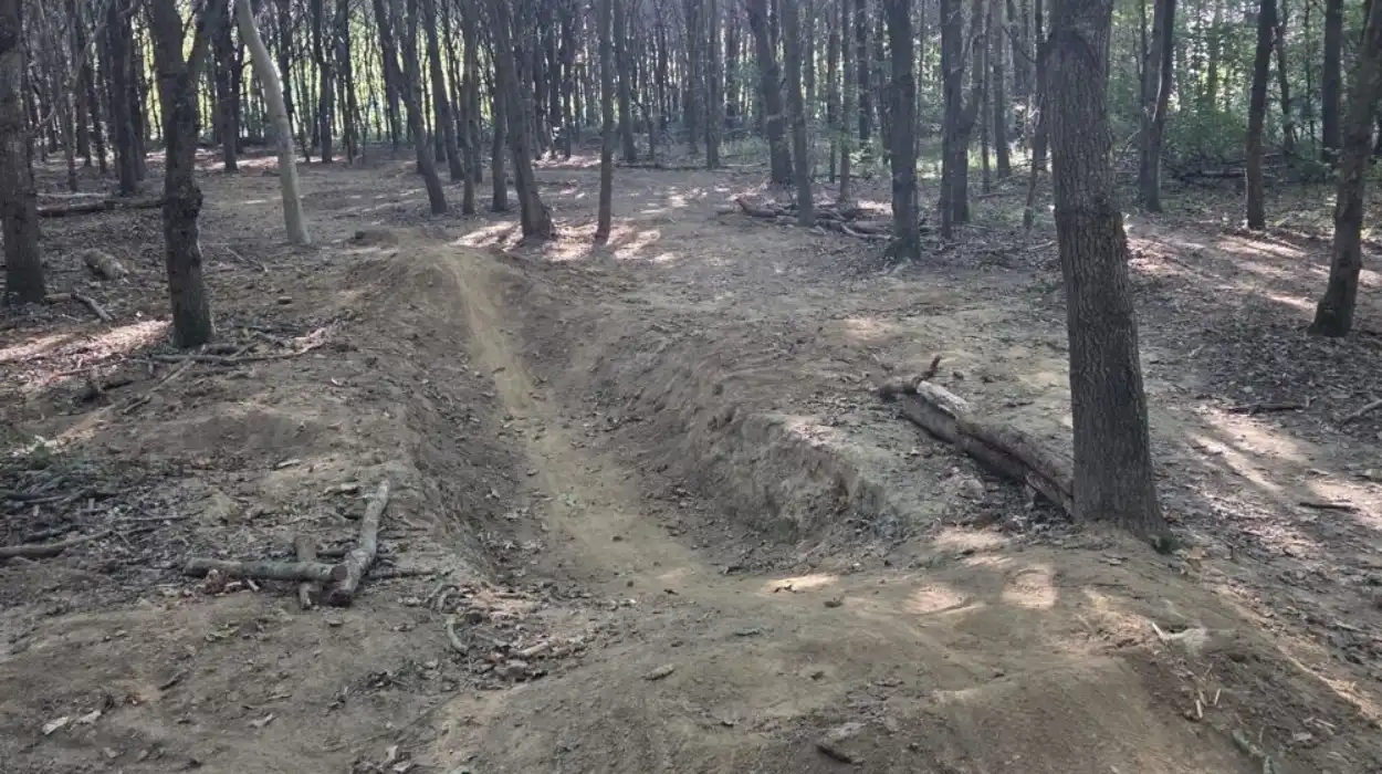 Illegal Cycling Trail Found in Grimbergen Lintbos: Mayor Takes Action