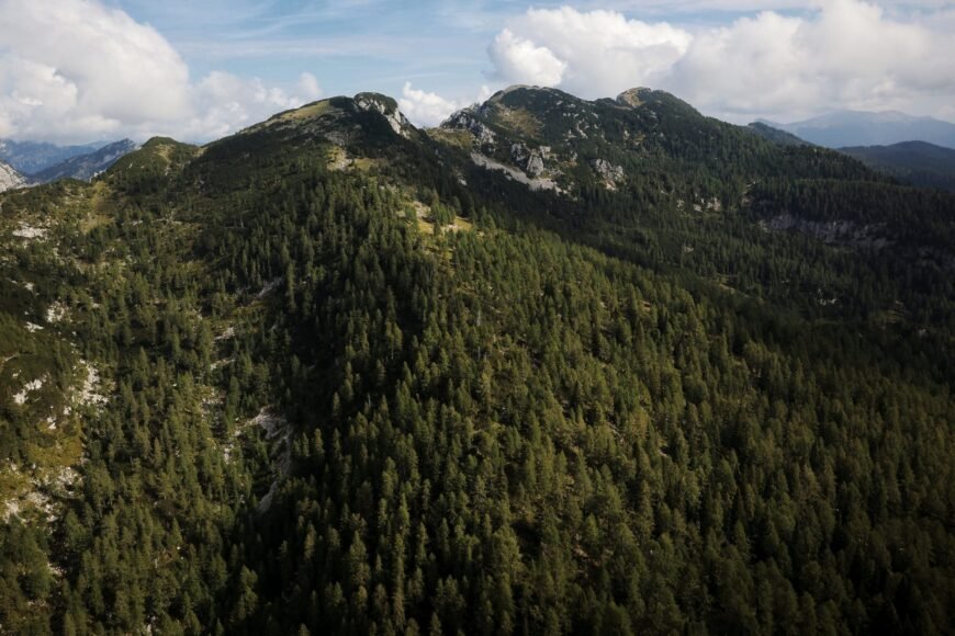 Ministers of the Informal Forest Group Address Challenges Facing European Forests