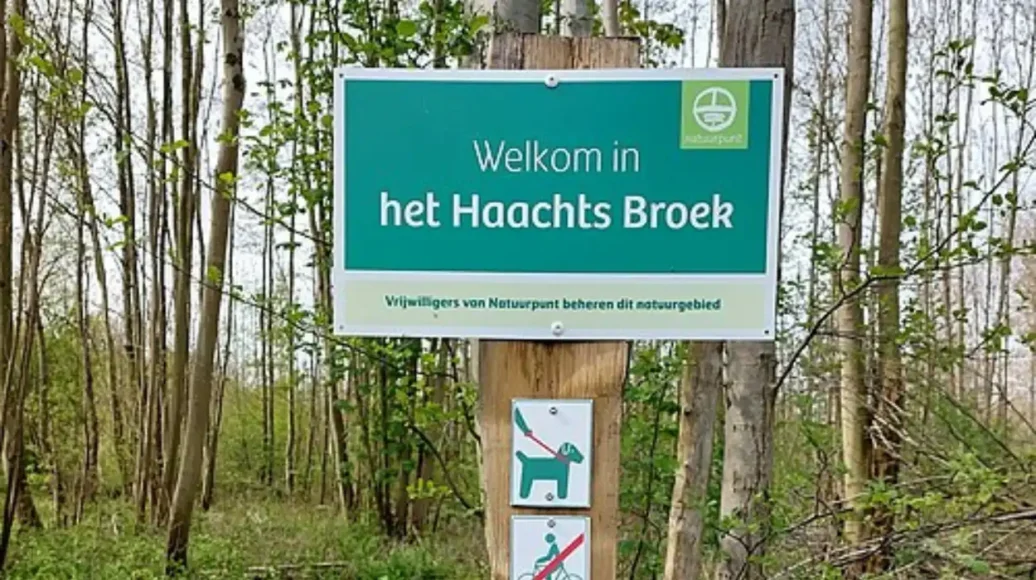 Natuurpunt Haacht to Fell 2 Ha of American Oaks, Led by Lemaitre