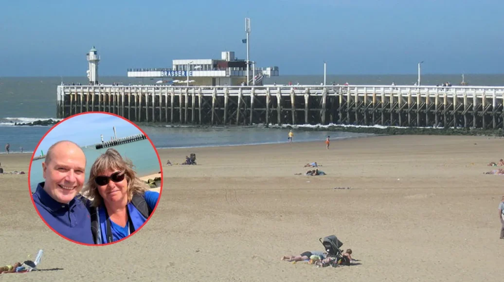 Seven seals return to Klein Strand Ostend after fence installation