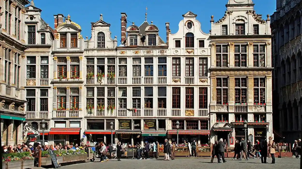 Belgium Reports First 2025 BTV8 Cases, FASFC Cites Bonte