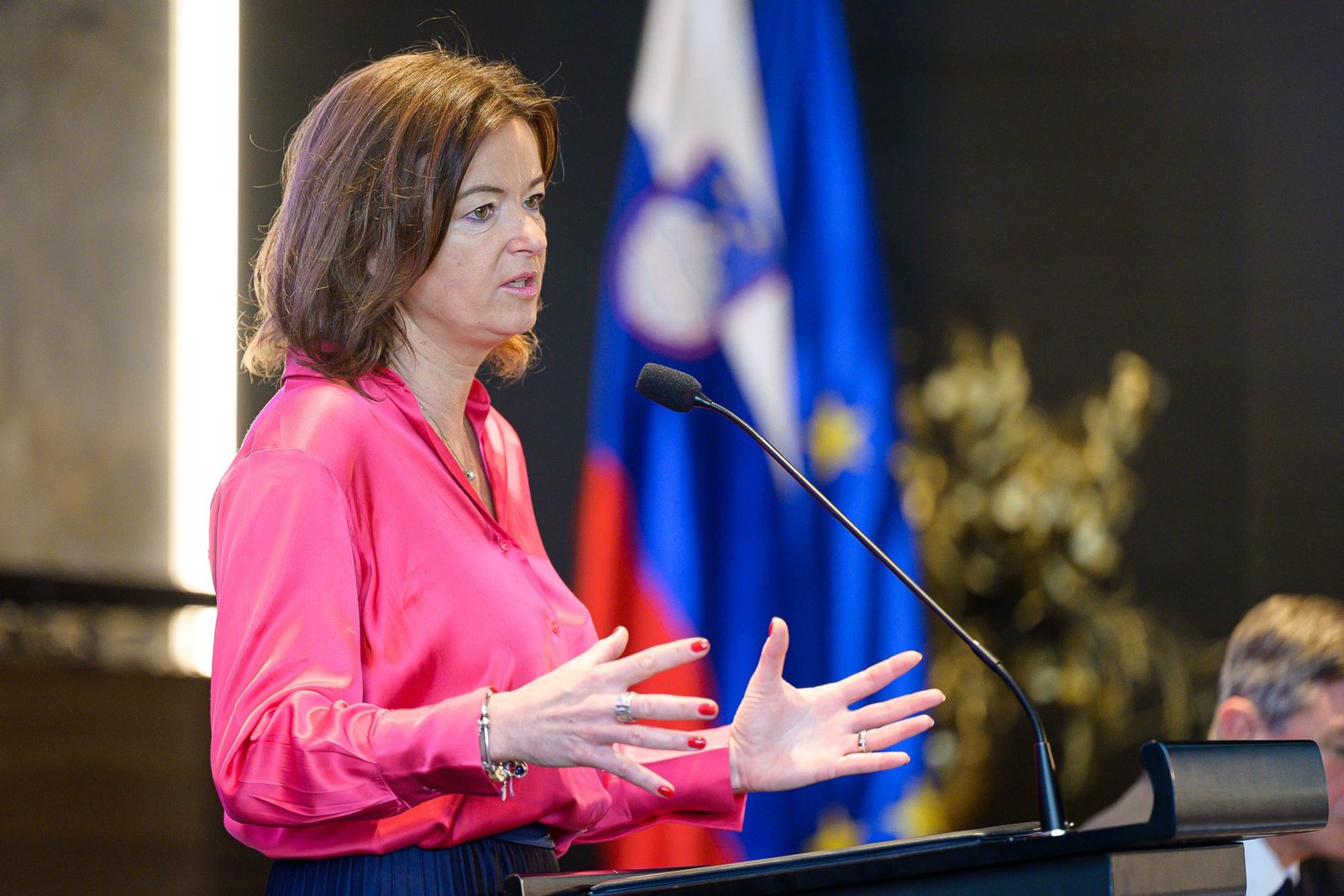 Central European Foreign Ministers Discuss EU Foreign Policy