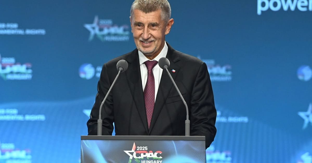 Czech Election Frontrunner Babiš Hit Over Head with a Crutch