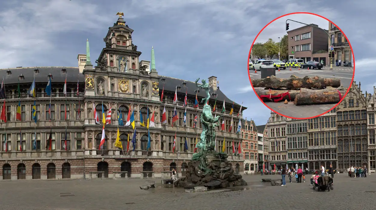 Deurne Passes Motion Against Tram Loop, Kennis Objects