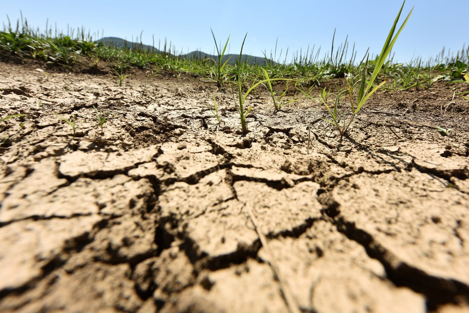 Divided EU Seeks UN Intervention for Temporary Climate Target