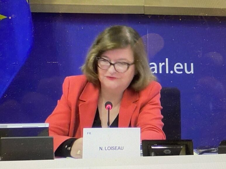 EU Parliament Deeply Concerned About Russia’s Interference Through Orthodox Clergy in EU Neighbourhood