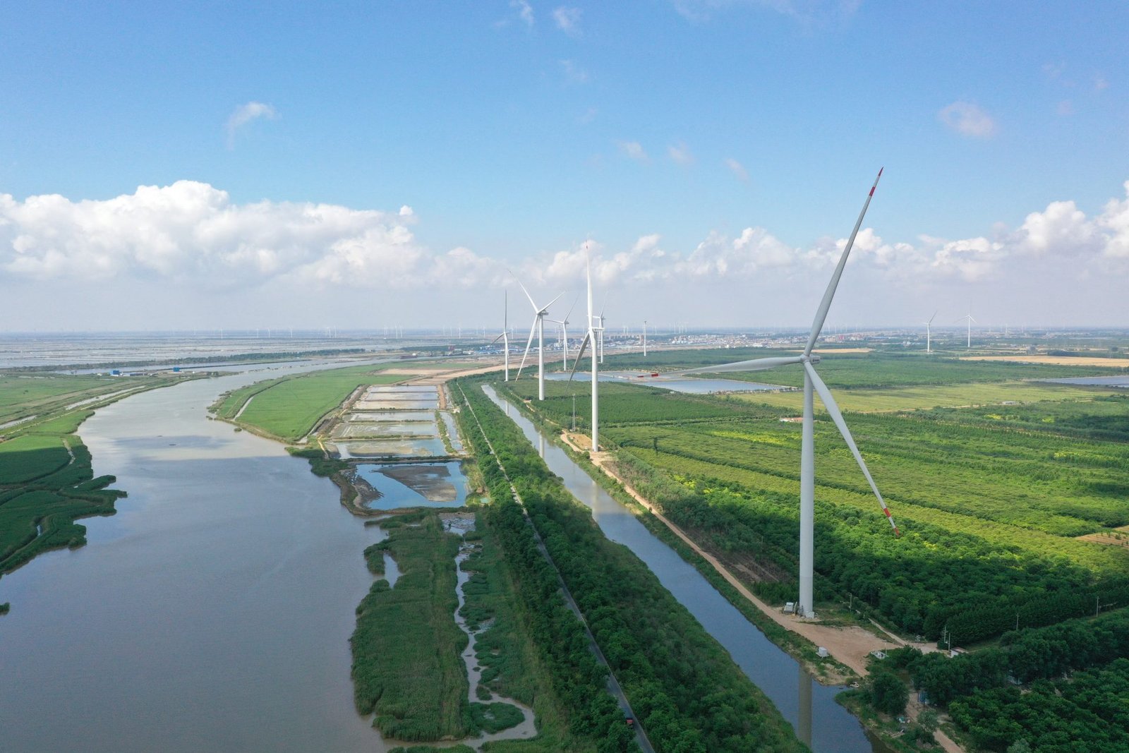 European Environment Report 2025: Encouraging Trends, Yet Overall Condition “Unsatisfactory”