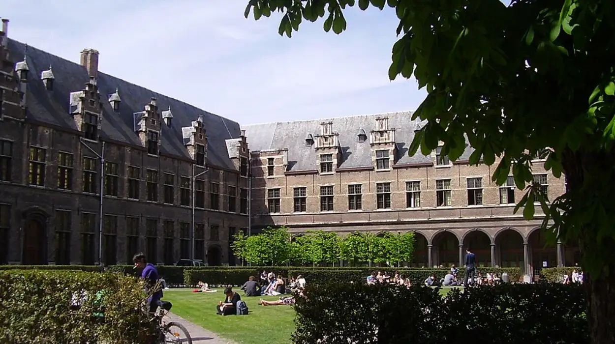 Flemish Government Cuts €2.6M Funding for Antwerp IOB Staff