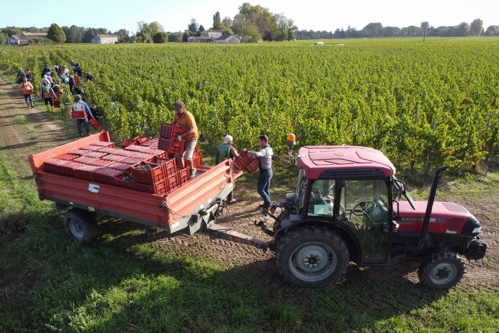 France Voices "Deep Incomprehension" to Brussels Over Common Agricultural Policy