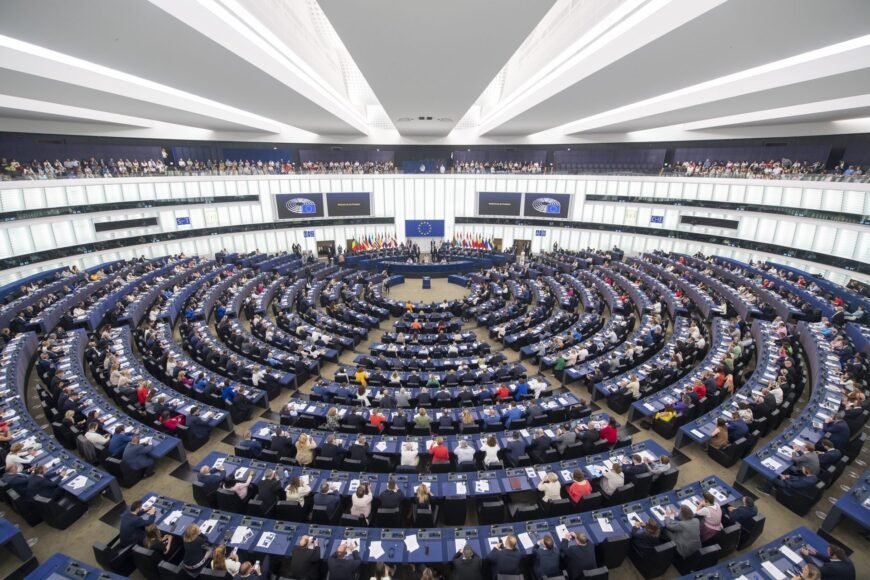 Ilaria Salis’ Immunity Approved by Just One Vote