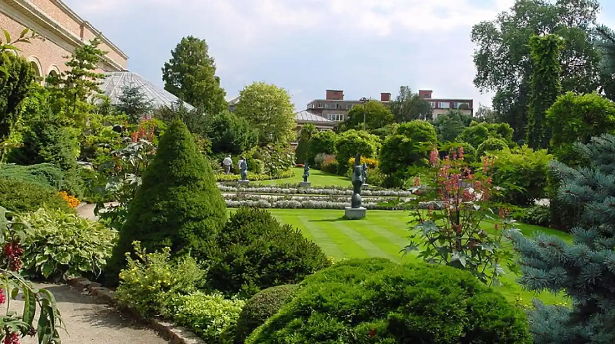 Leuven’s Botanical Garden Unveils Drought Garden Featuring 100+ Plants