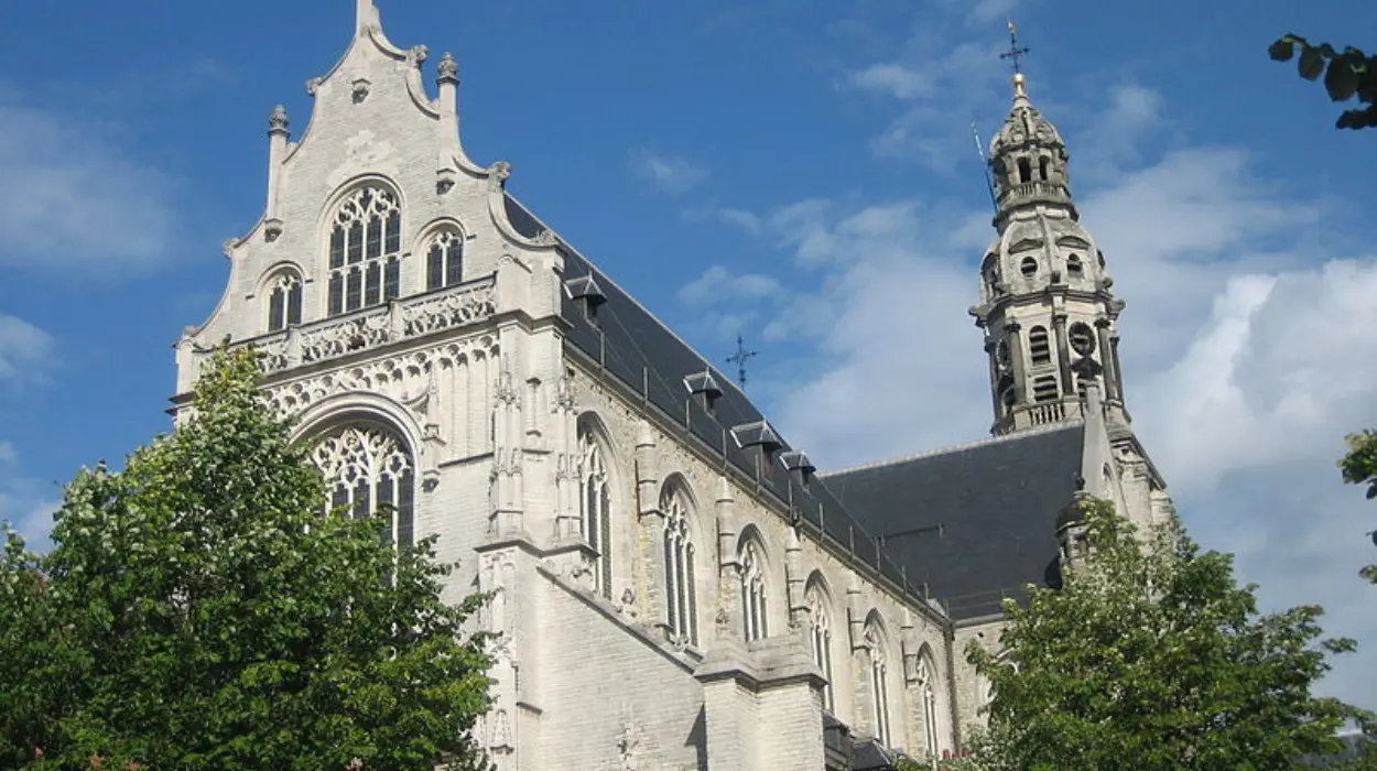 Residents Protest Tree Felling at Antwerp 12-Apartment Project