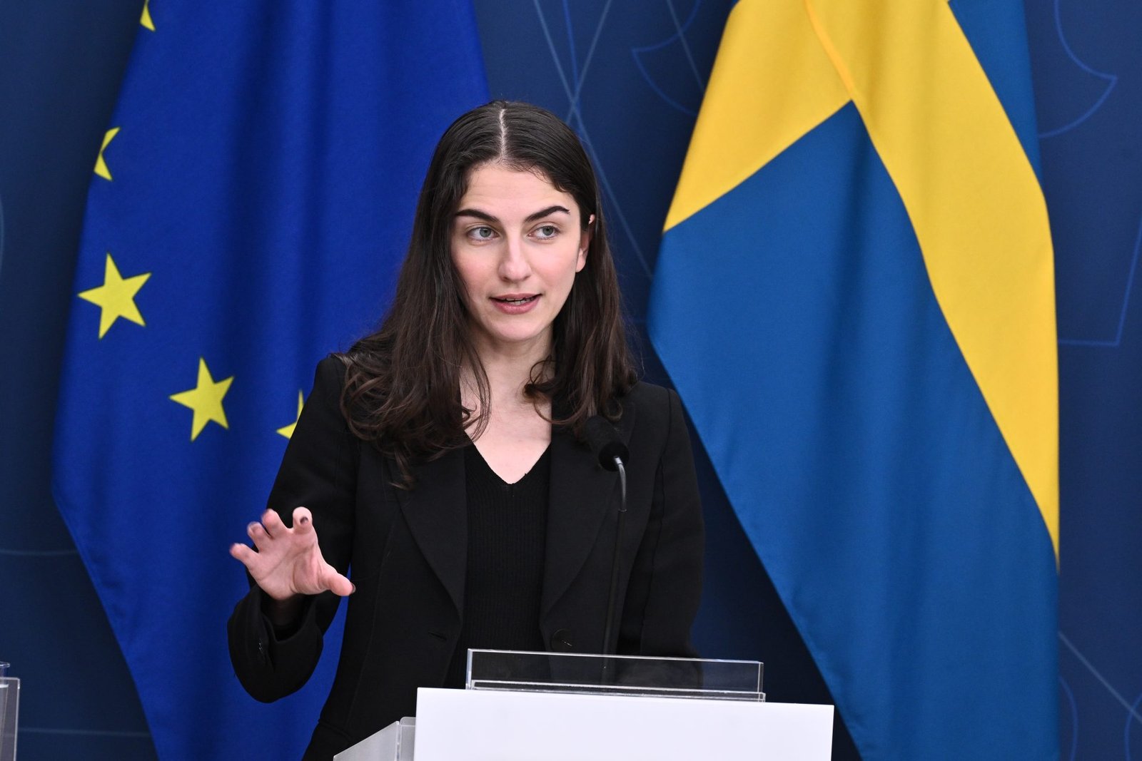 Swedish Discontent Following EU Climate Goals Disagreement