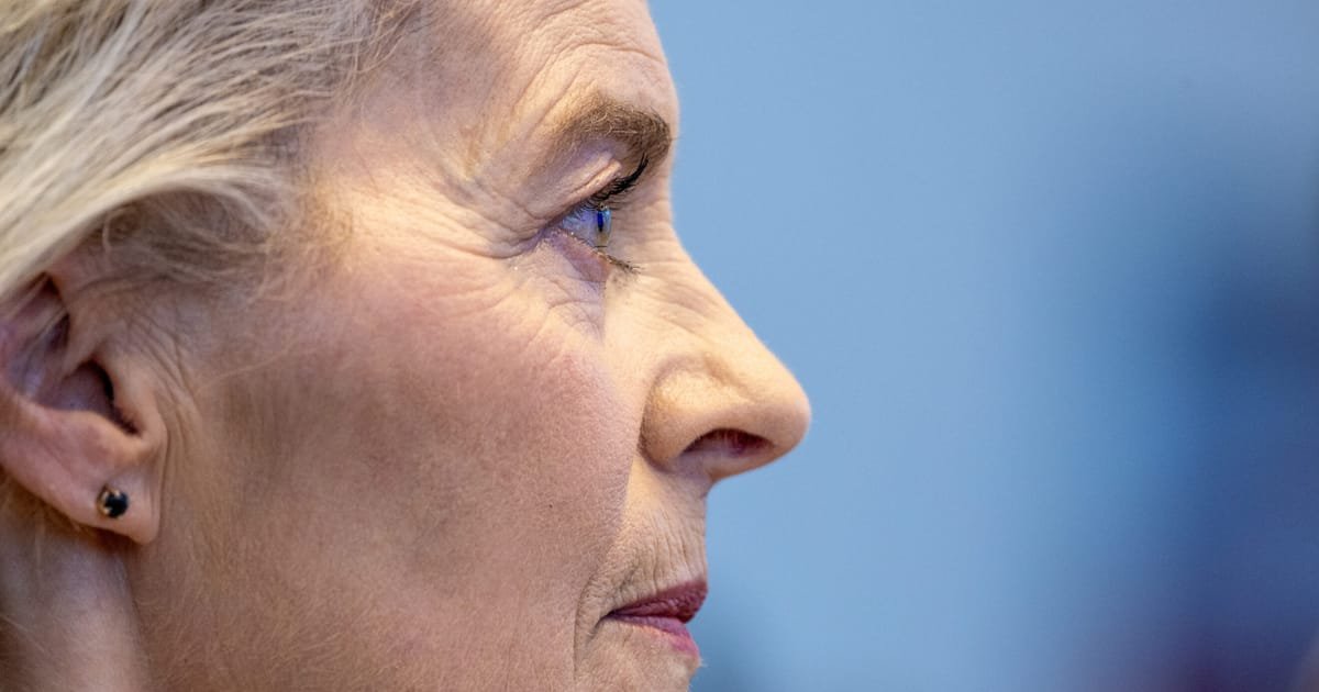Von der Leyen: Shooting Down Russian Jets Considered