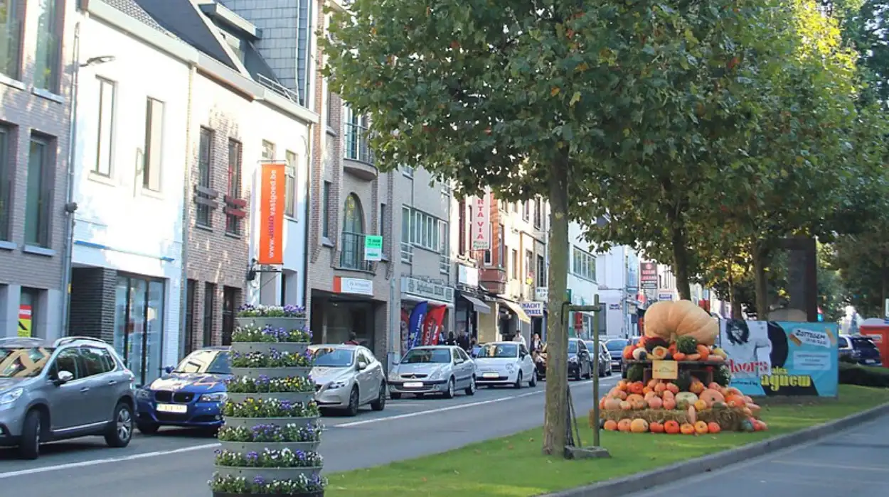 Zottegem Plans 2026 Redevelopment of Heldenlaan