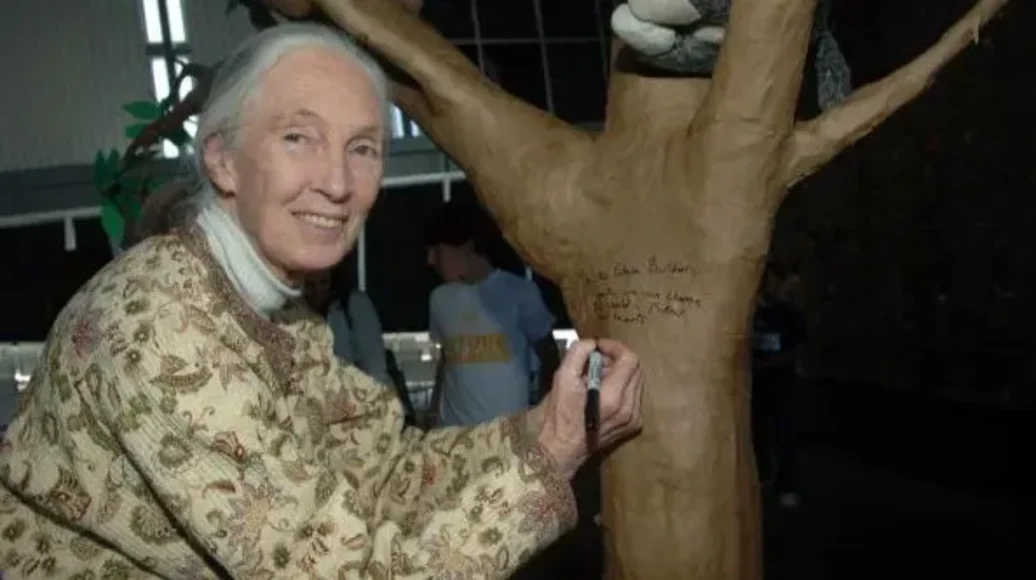 An Inspiration to Generations of Women: Charities Reflect on Goodall’s Legacy