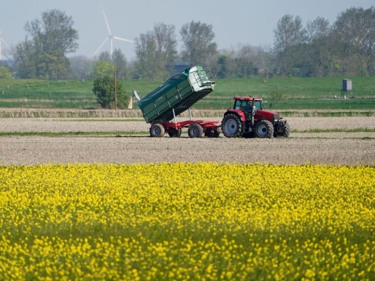Andalusia anticipates 2 billion in aid losses from new CAP proposal