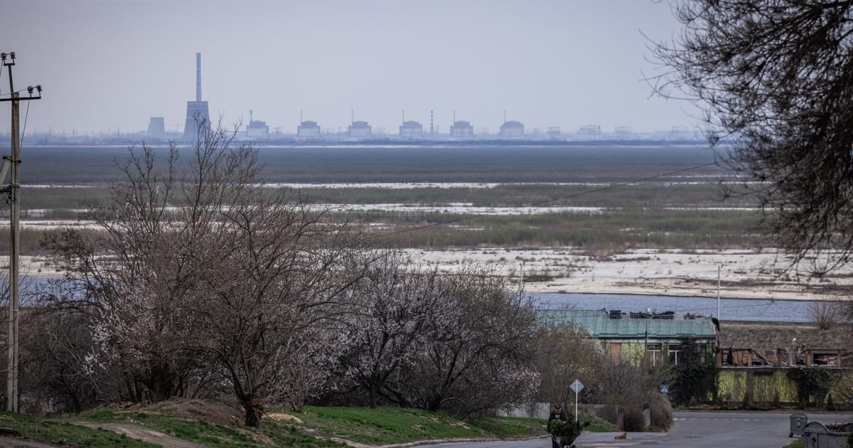 Ceasefire Zone Established at Ukrainian Nuclear Plant for Damage Repairs