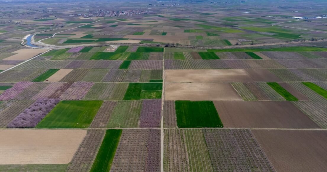 Dozens Arrested in Greece’s Farm Fraud Scandal