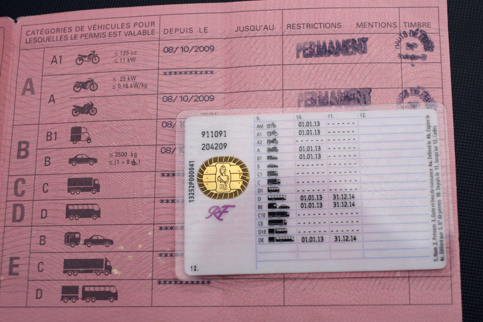 European Parliament Members Approve Driving License Reform