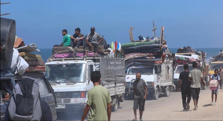 Gaza: UN Rights Office Condemns Fatal Strikes on Palestinians Collecting Firewood