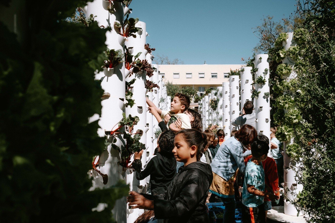 Innovative and Sustainable Designs Win Prizes Across Europe