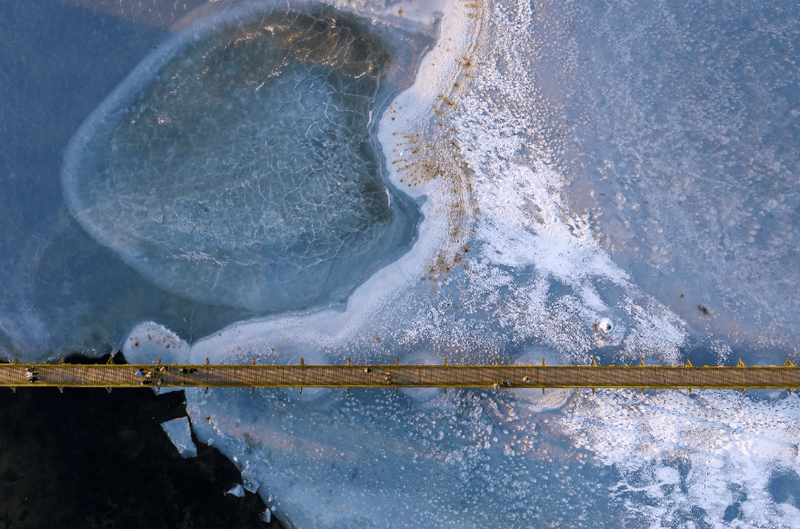 Public and Jury Select Winning Images of "Environment&Me 2025" Photo Competition