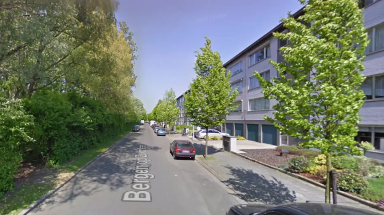 Residents of Bergen op Zoomlaan Report Low Noise from New Bypass