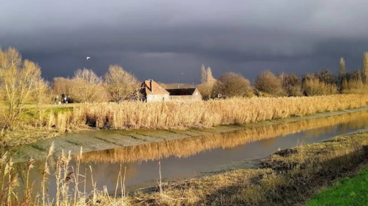 Wal-Zwin Flood Zone Opens in Hamme with Krista Maes