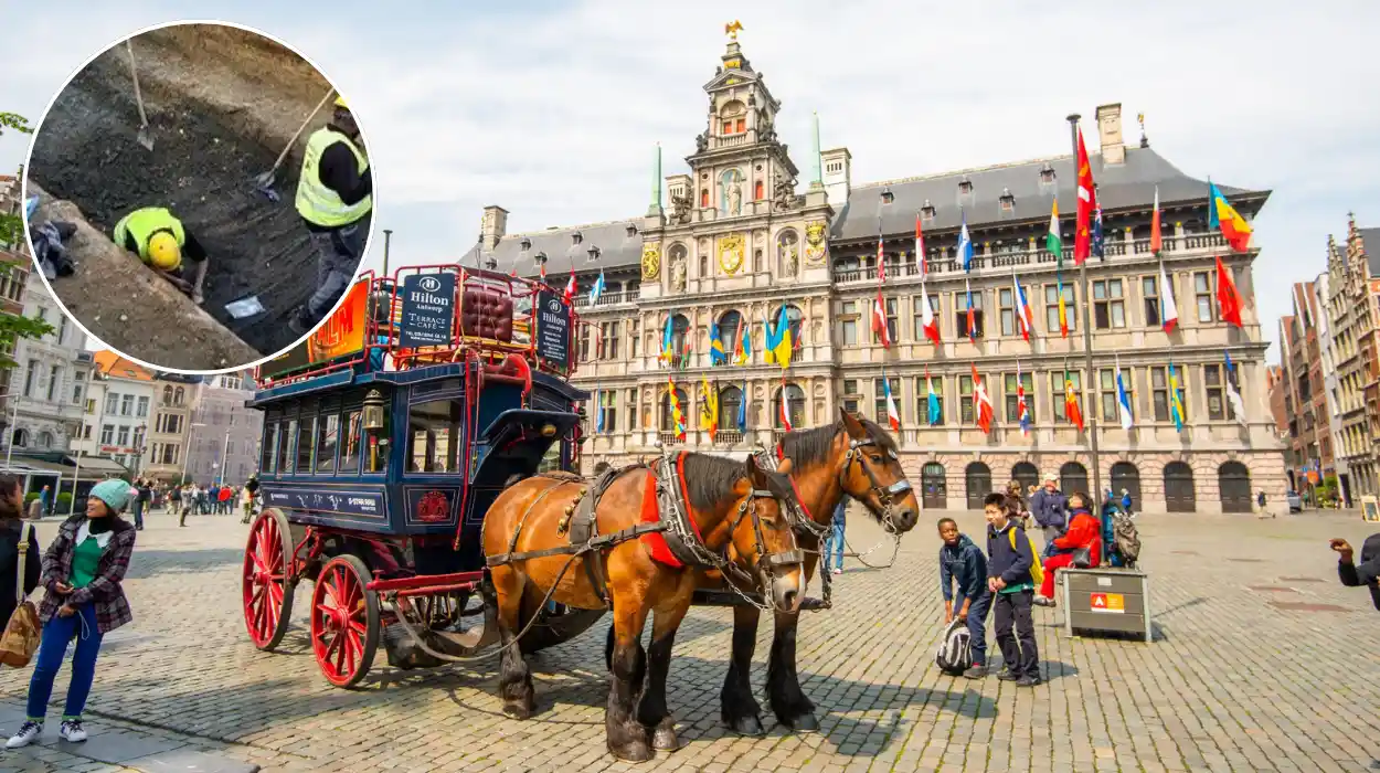14th-Century Wooden Road Uncovered at Paardenmarkt in Antwerp
