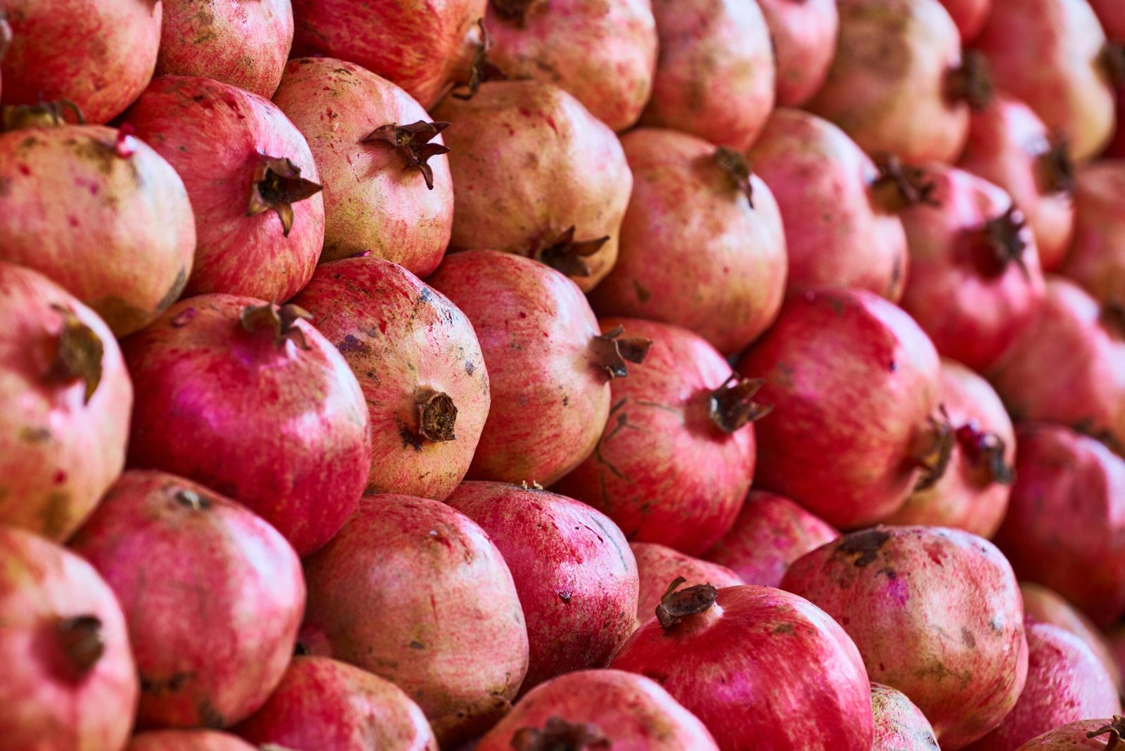 Afghanistan Begins Exporting Fruit to Russia