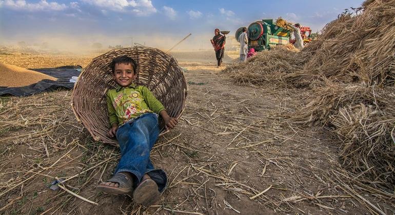 Doha Social Summit: Businesses and Civil Society Unite for Fairer Futures