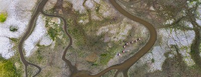Europe’s adaptation policies advance, but stronger action is needed to address growing climate risks | Press releases