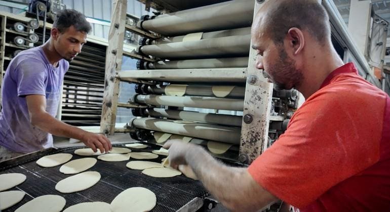 Gaza: Aid Teams Urgently Deliver One Million Food Parcels to Combat Hunger