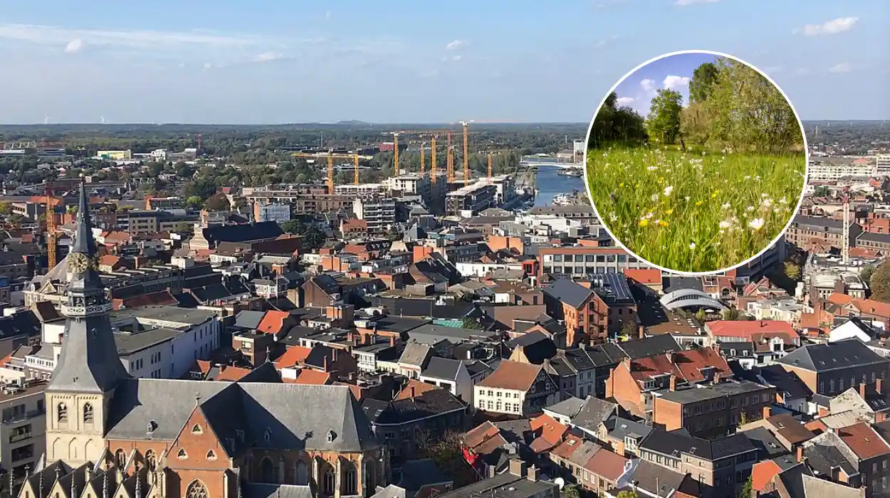 Hasselt Revitalizes Enkelenberg Reserve with RLHV and Ward Andriessen