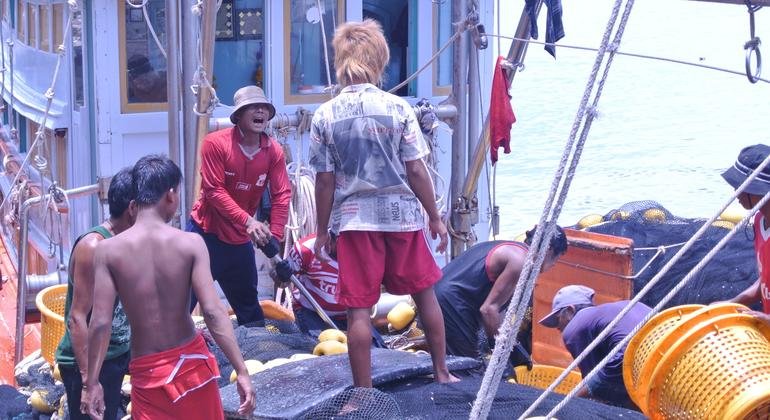 Millions in Asia Forced to Migrate Due to Job and Service Shortages