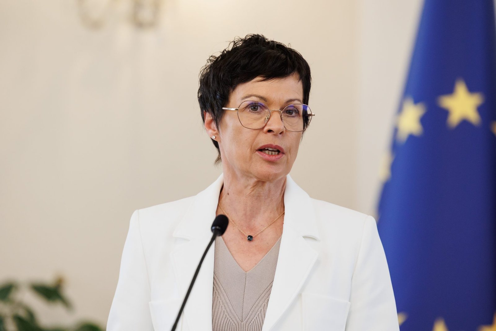 Slovenia Supports Enlargement Report and Endorses Brussels Recommendations
