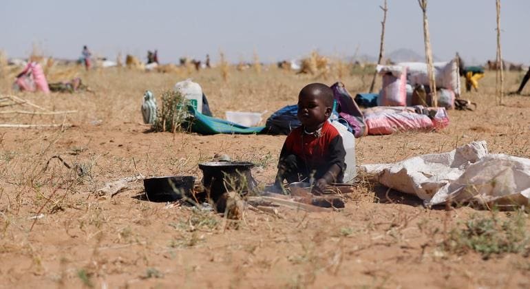 Sudan Conflict: Aid Groups Urge Access to Trapped Thousands in El Fasher