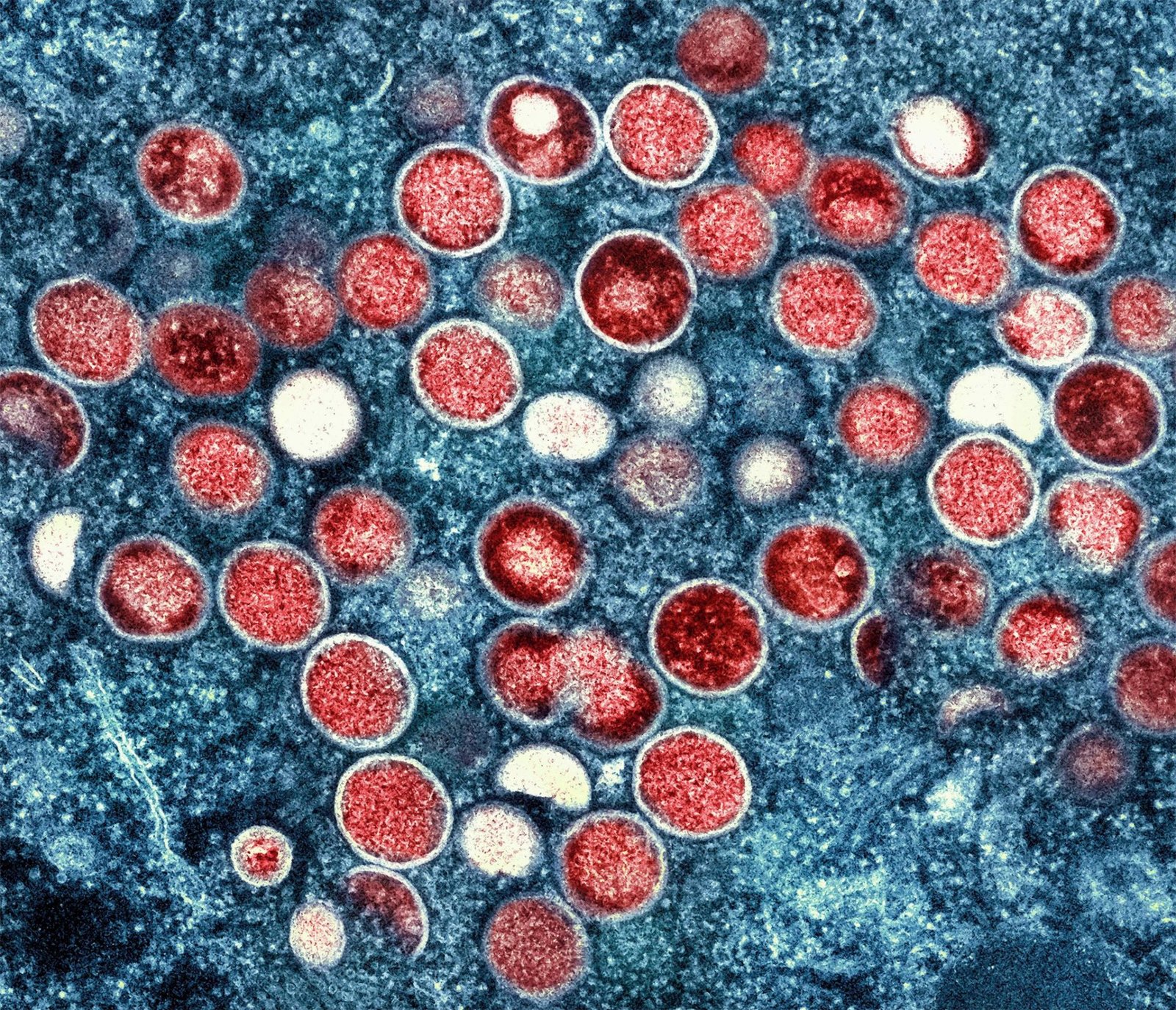 Two Portuguese Research Projects Awarded EU Funding
