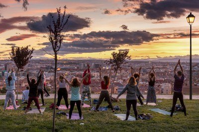 Air Quality Improving, Yet Over 180,000 Deaths in EU Linked to Air Pollution | Press Release