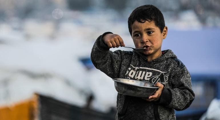Gaza: Food Access Improves Yet Living Conditions Stay Dire