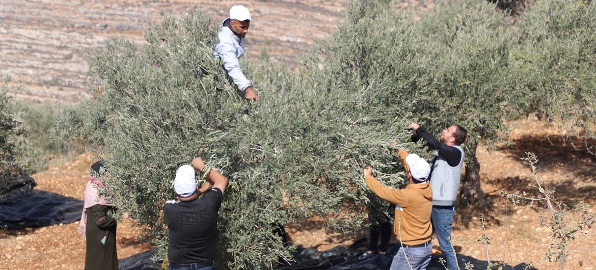 Gaza: Ongoing Humanitarian Efforts Amid Restrictions