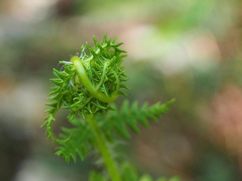 Guterres Denounces Fatal Hannukah Celebration Attack in Sydney
