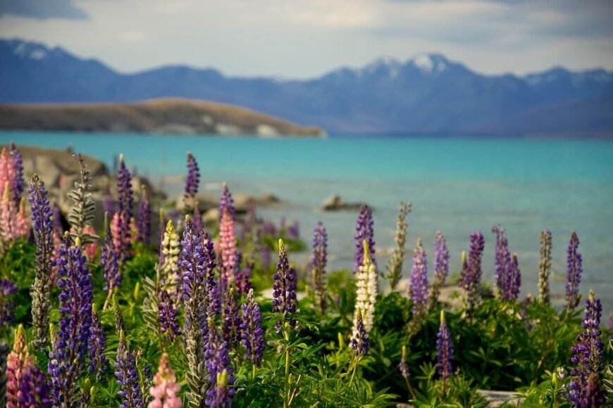 HIV and AIDS: Progress in Prevention Amid Funding Declines