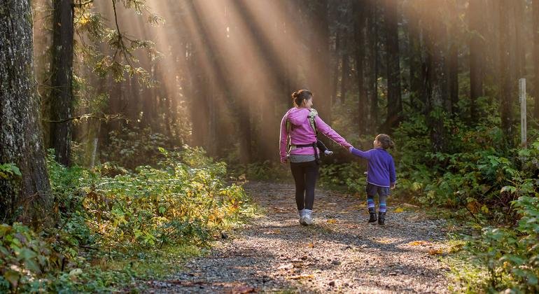 How are singing and sports related to human rights?