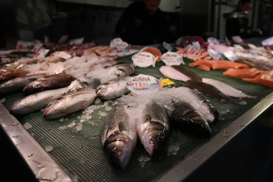 Mediterranean Proposal Poses Job Threat to Thousands in European Fishing Sector