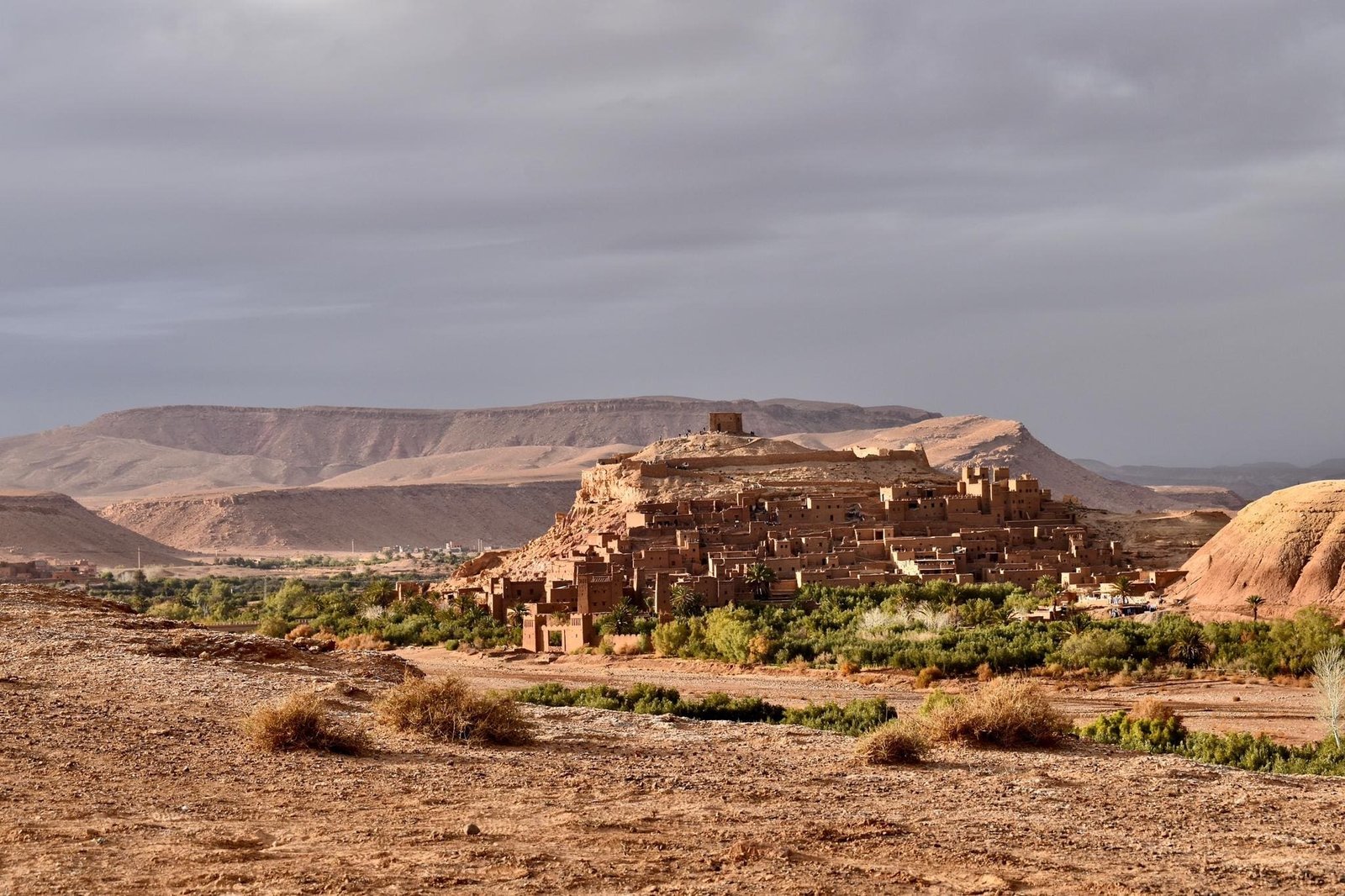 Noah is Alive in Africa and Urgently Building Eight Noah’s Arks