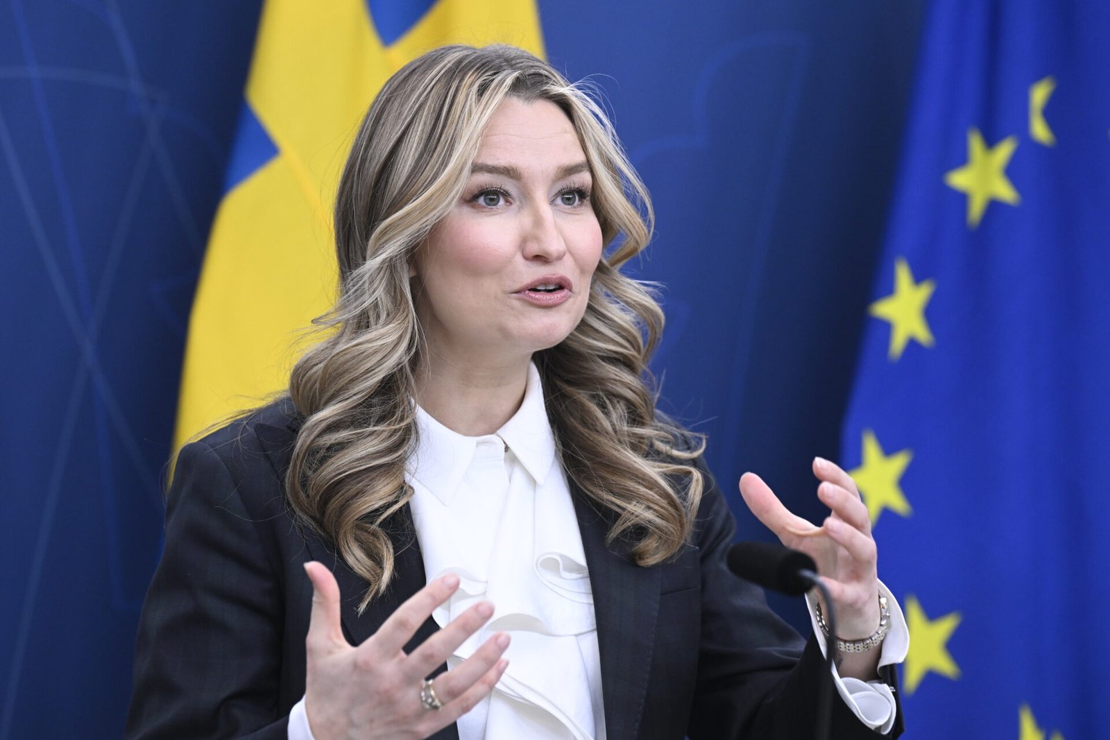 Swedish Firm Seeks State Assistance for New Nuclear Power Initiative