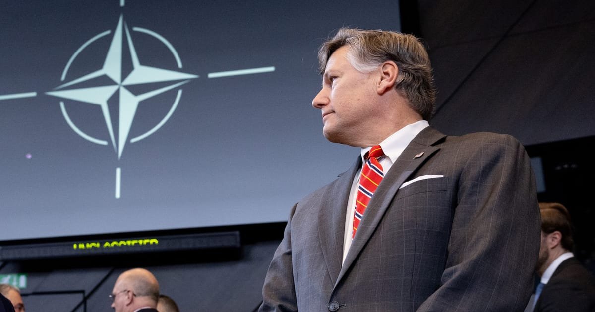 Top US Official Claims EU Regulation ‘Undermines’ NATO Relations
