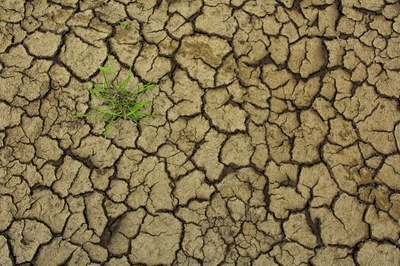 Climate Adaptation Investments Bolster European Competitiveness | Press Releases